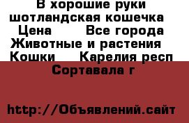 В хорошие руки шотландская кошечка › Цена ­ 7 - Все города Животные и растения » Кошки   . Карелия респ.,Сортавала г.